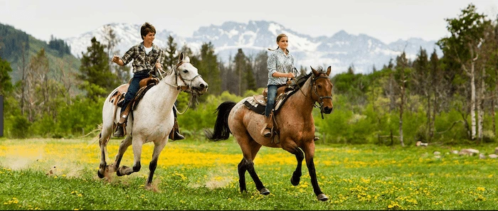 Confident plus-size woman riding Great Missenden a horse through a field with a smile on her face.